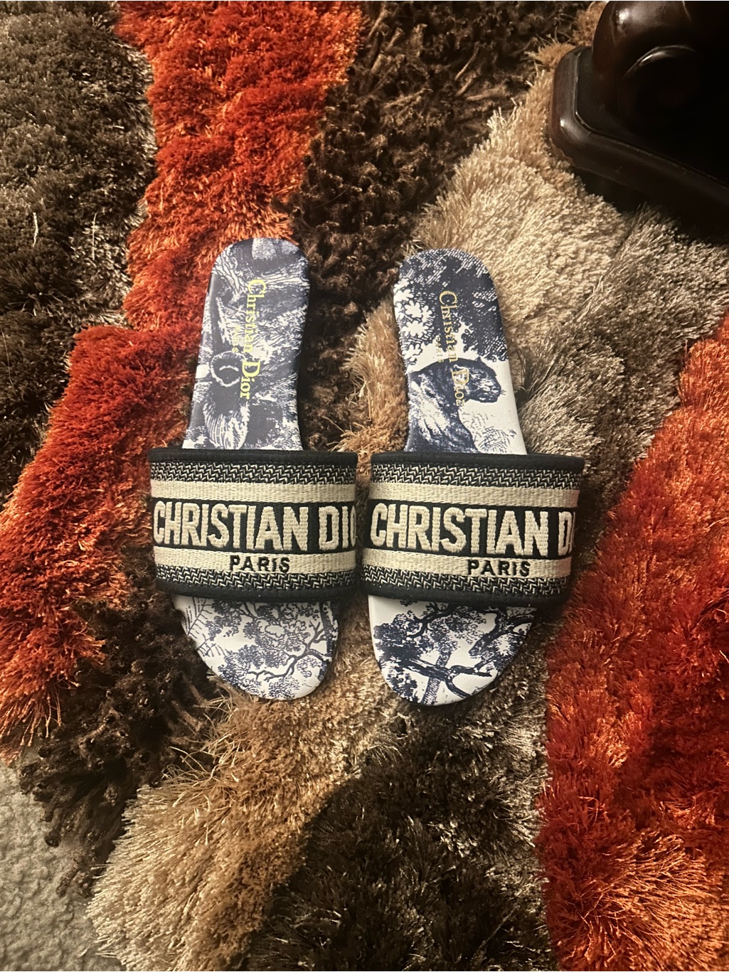 Dior Navy And White Toile Logo Slide Sandals